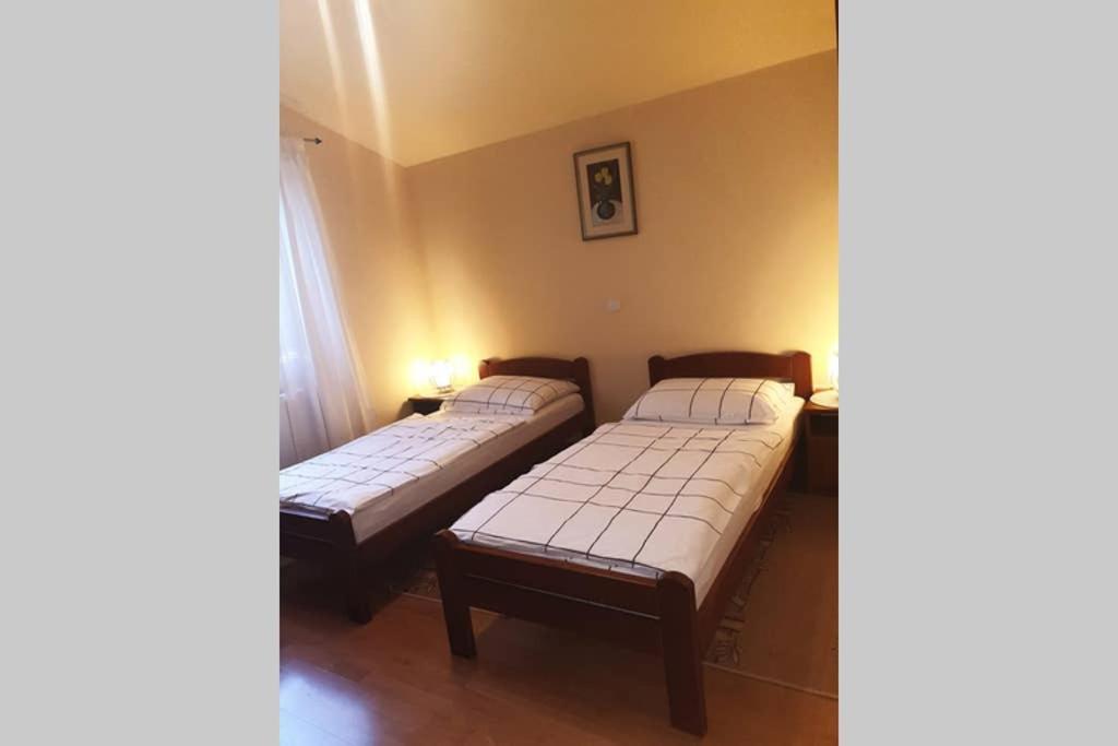 Apartman Stela 波雷奇 外观 照片