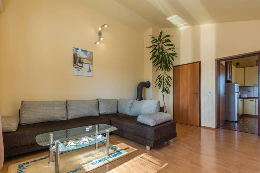 Apartman Stela 波雷奇 外观 照片