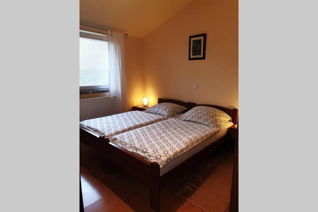 Apartman Stela 波雷奇 外观 照片